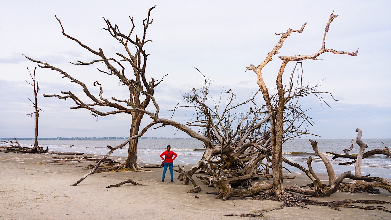 04 St. Simons Island